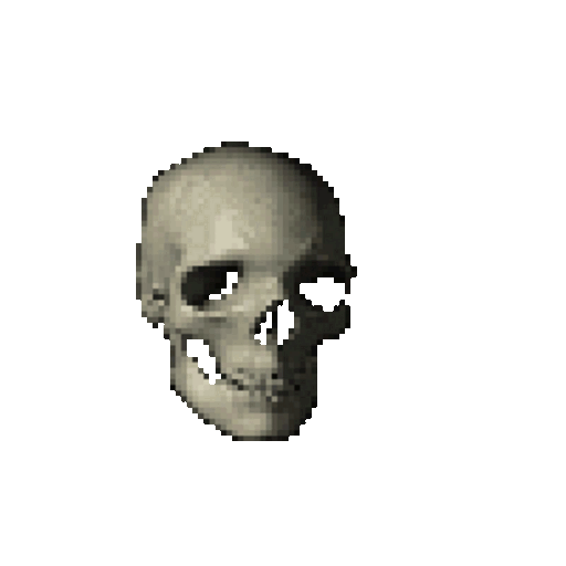 skullspin